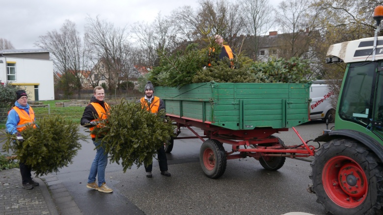 tannenbaum_2023_1.jpg