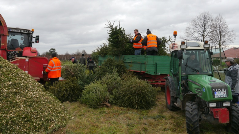 tannenbaum_2023_2.jpg